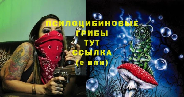 скорость Лагань