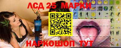 спайс Берёзовский