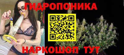 спайс Берёзовский