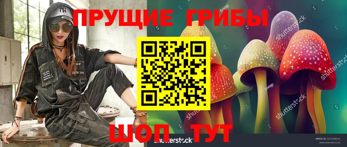 Галлюциногенные грибы Magic Shrooms  Вход с VPN  магазин    Галлюциногенные грибы Magic Shrooms  Пермь 